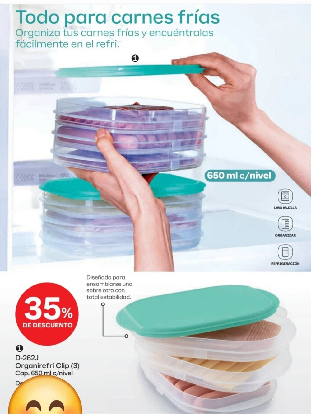 Tupperware Container for cold cuts or cheese